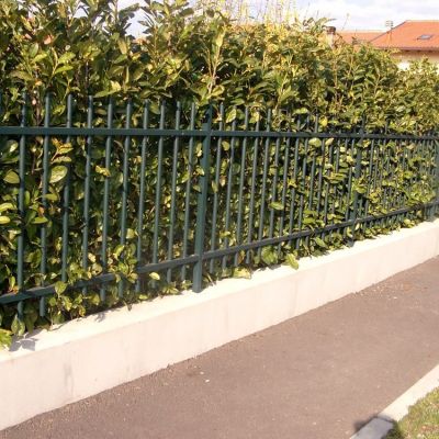 cmv recinzioni19